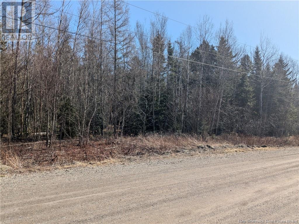 Lot Circle Drive, Welshpool, New Brunswick  E5E 1Z8 - Photo 5 - NB114762