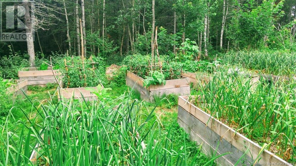 122 South Knowlesville Road, Knowlesville, New Brunswick  E7L 4P8 - Photo 31 - NB114968