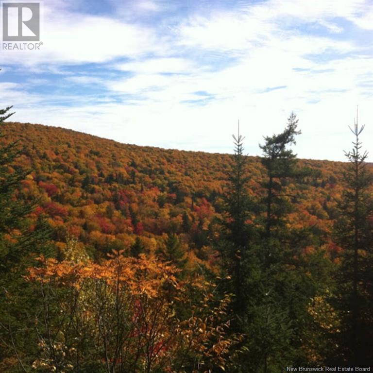 122 South Knowlesville Road, Knowlesville, New Brunswick  E7L 4P8 - Photo 36 - NB114968