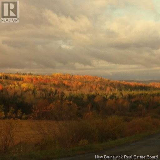 122 South Knowlesville Road, Knowlesville, New Brunswick  E7L 4P8 - Photo 38 - NB114968