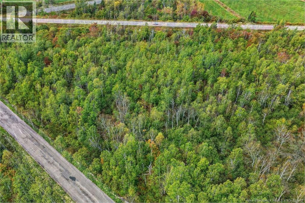 12 Davis Road, Mates Corner, New Brunswick E4M 1W4 - Photo 6 - NB114820