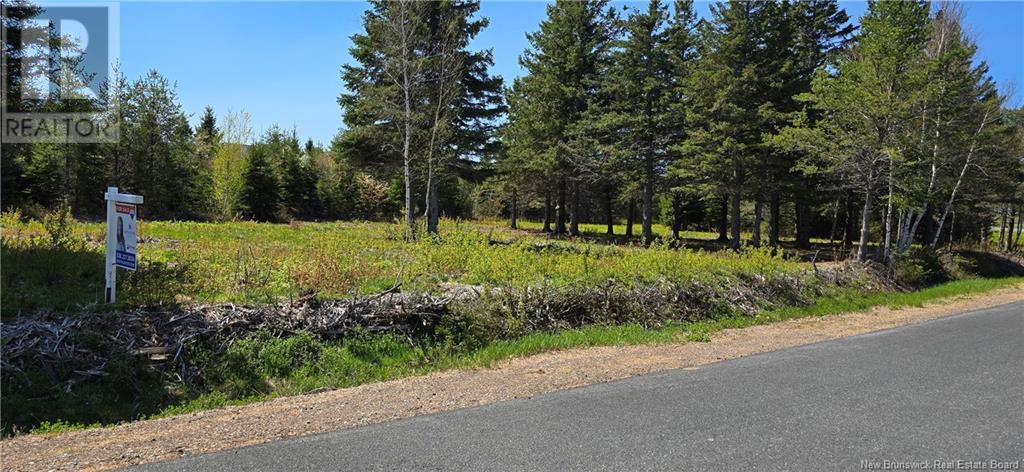 611 Zoel Mallais Street, Tracadie, New Brunswick  E1X 1A5 - Photo 15 - NB115142