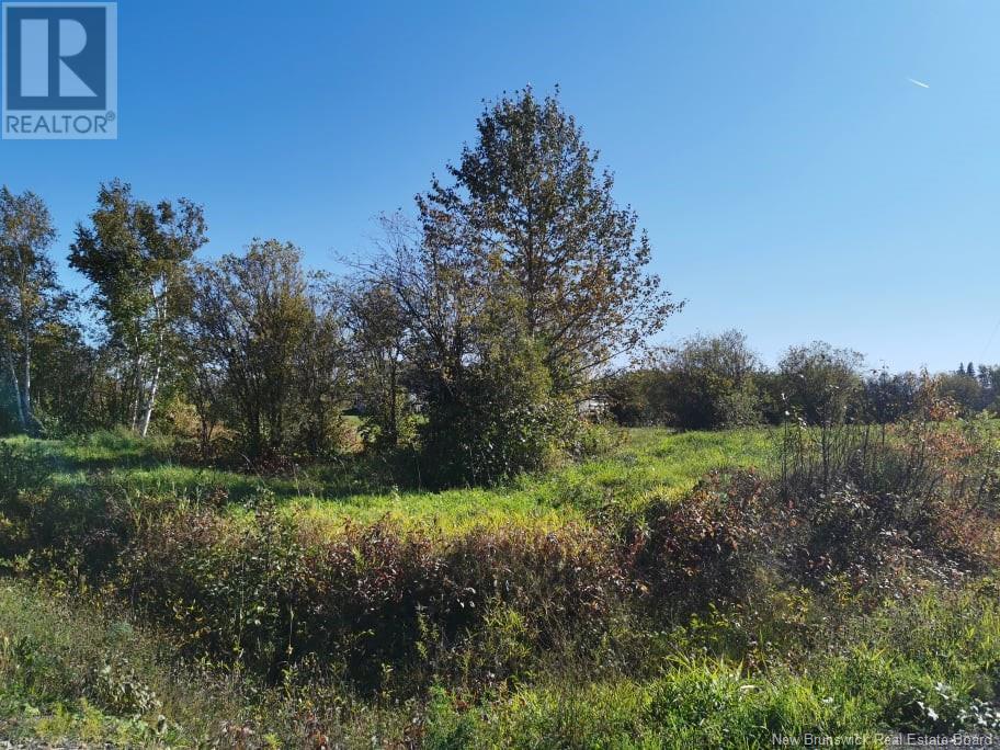 Lot 23 Bellevue Street, Charlo, New Brunswick E8E 0B6 - Photo 2 - NB115372