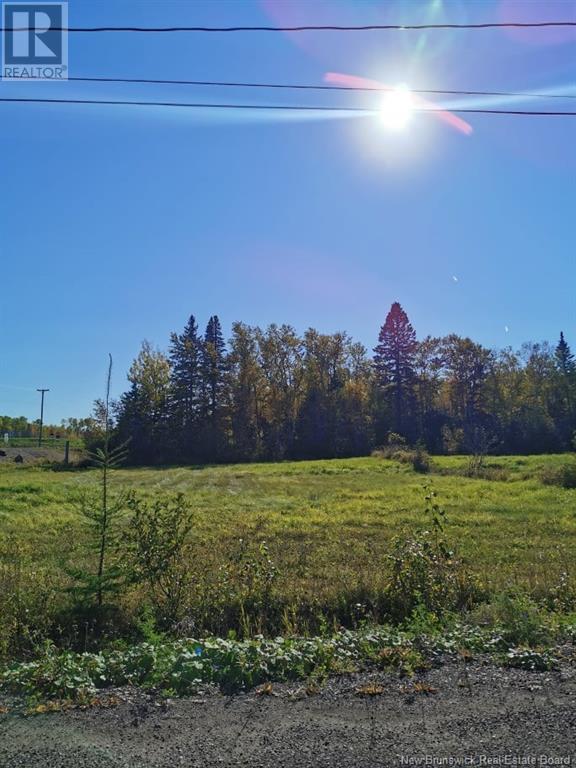 Lot 47 Levesque Street, Charlo, New Brunswick  E8E 0B8 - Photo 2 - NB115486