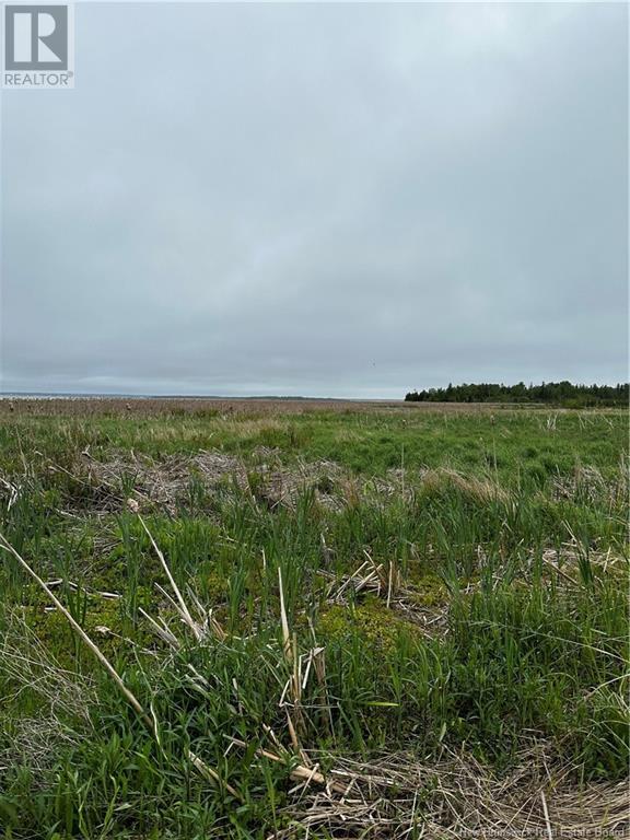 Vacant  Lot Beausoleil Street, Grande-Digue, New Brunswick  E4R 3W2 - Photo 4 - NB115925