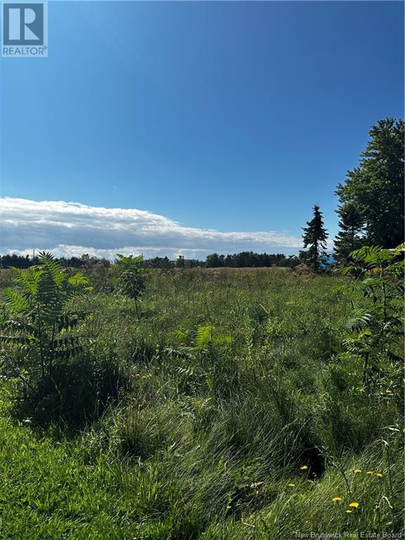 Vacant  Lot Beausoleil Street, Grande-Digue, New Brunswick  E4R 3W2 - Photo 6 - NB115925