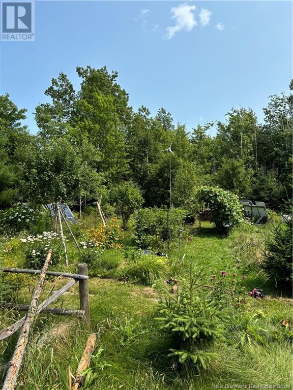 9301 Rte 11, Saint Margarets, New Brunswick E1N 5C2 - Photo 5 - NB115969