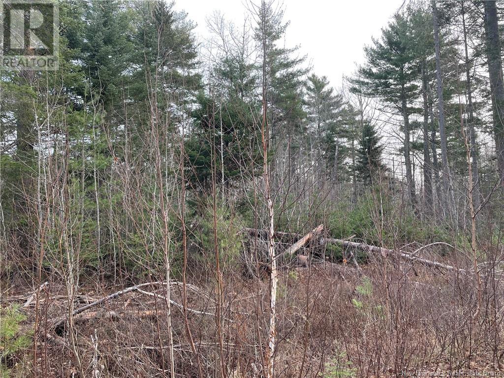 Route 105, Youngs Cove, New Brunswick  E4C 2C2 - Photo 2 - NB116027