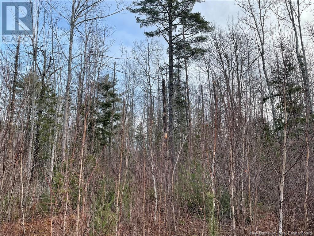 Route 105, Youngs Cove, New Brunswick  E4C 2C2 - Photo 3 - NB116027