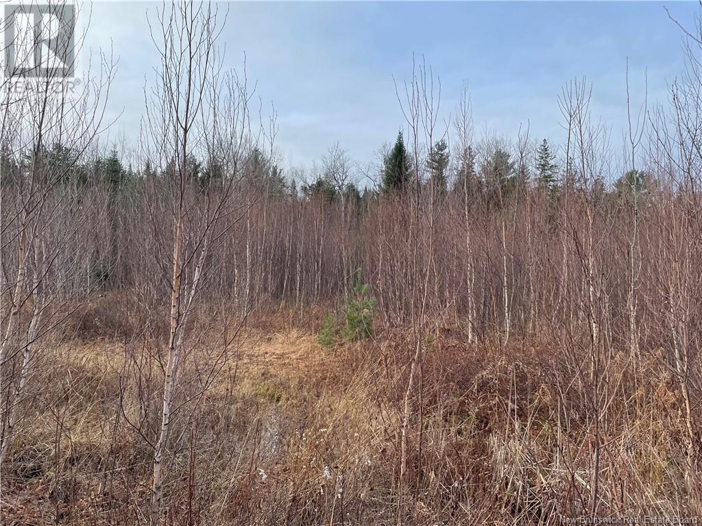 Route 105, Youngs Cove, New Brunswick  E4C 2C2 - Photo 4 - NB116027