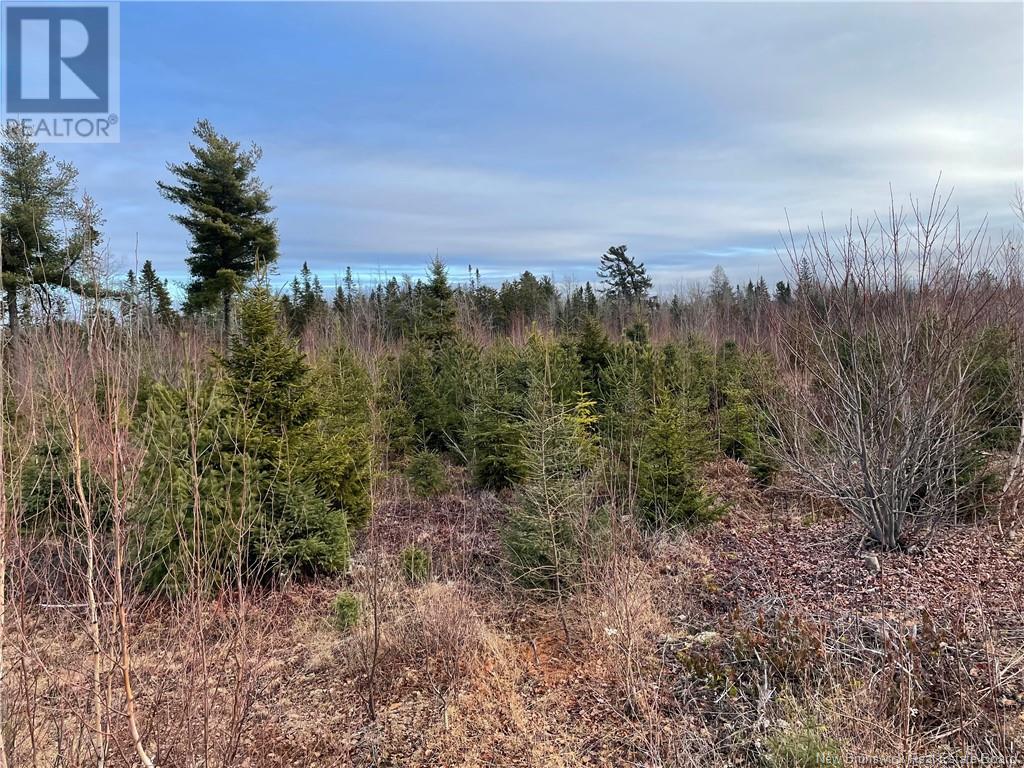 Route 105, Youngs Cove, New Brunswick  E4C 2C2 - Photo 5 - NB116027