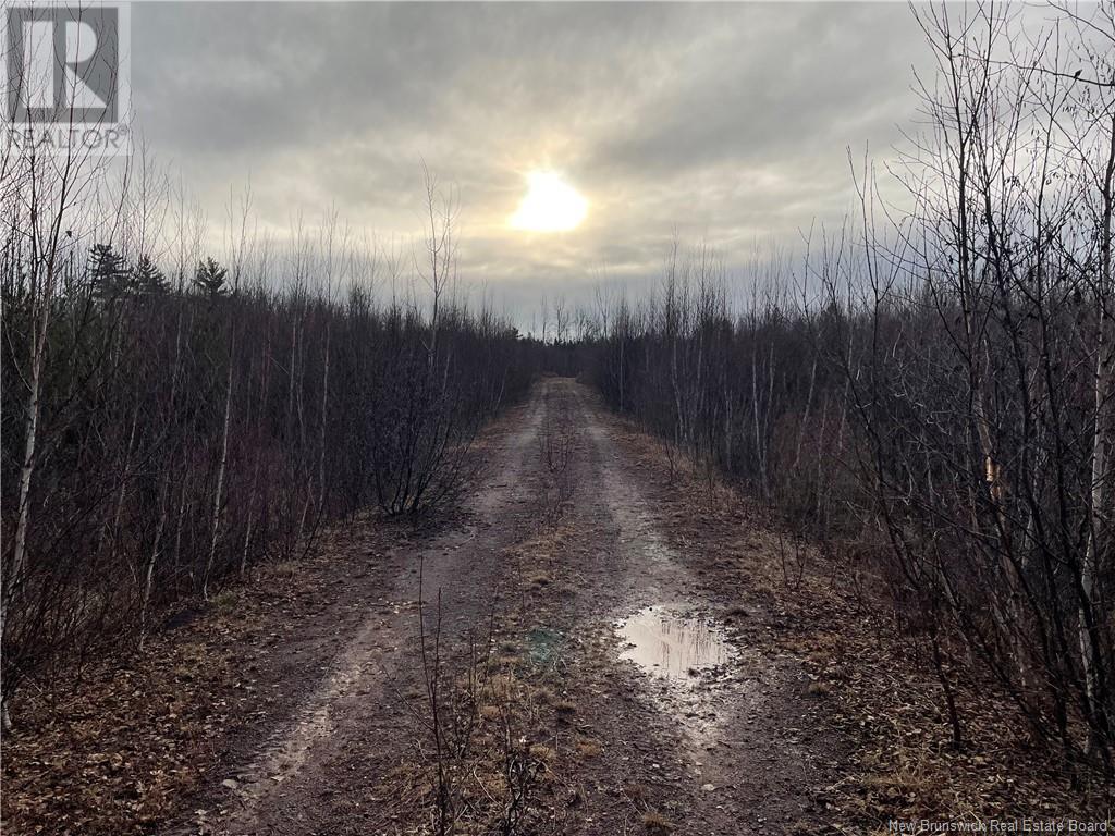 Route 105, Youngs Cove, New Brunswick  E4C 2C2 - Photo 6 - NB116027