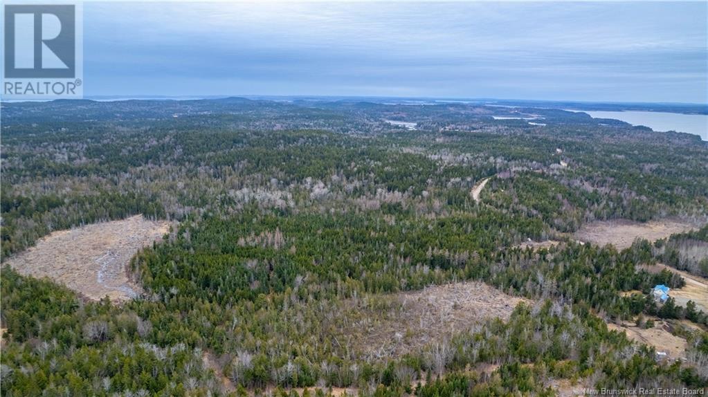0 Lobster Pound Road, Hersonville, New Brunswick E5V 1G9 - Photo 10 - NB116059
