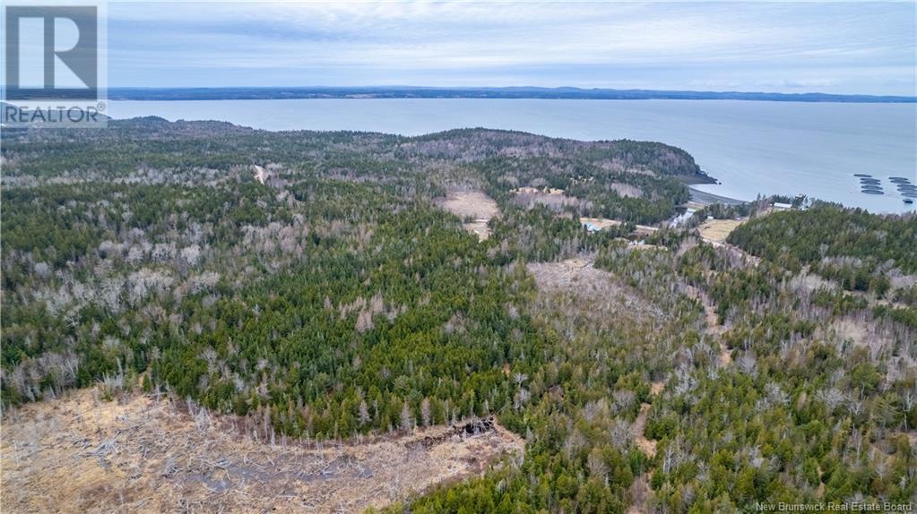 0 Lobster Pound Road, Hersonville, New Brunswick E5V 1G9 - Photo 11 - NB116059