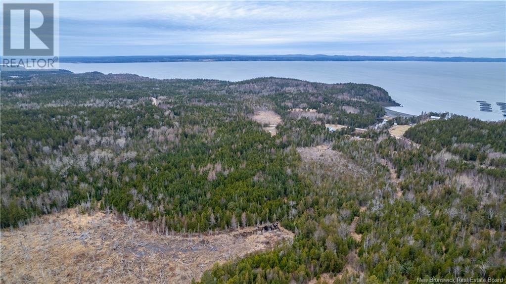 0 Lobster Pound Road, Hersonville, New Brunswick E5V 1G9 - Photo 12 - NB116059