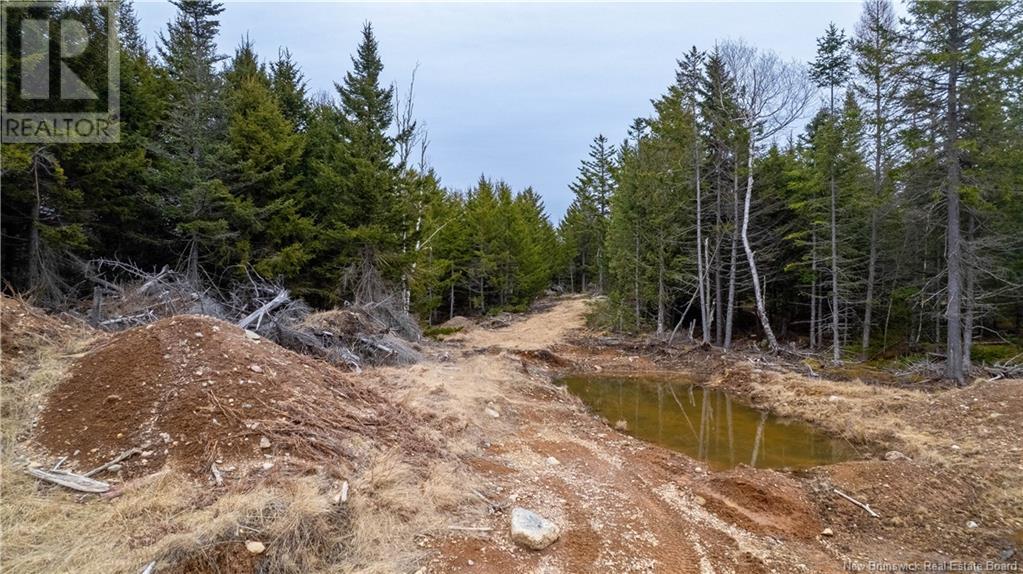 0 Lobster Pound Road, Hersonville, New Brunswick E5V 1G9 - Photo 19 - NB116059