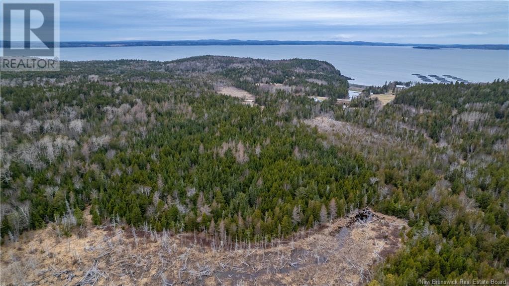 0 Lobster Pound Road, Hersonville, New Brunswick E5V 1G9 - Photo 21 - NB116059