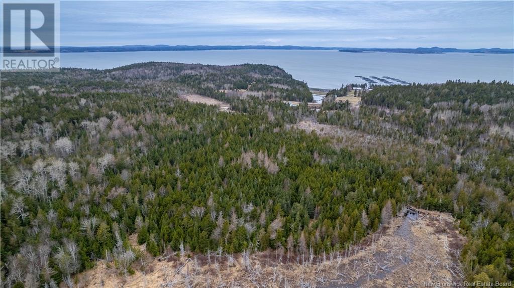 0 Lobster Pound Road, Hersonville, New Brunswick E5V 1G9 - Photo 22 - NB116059