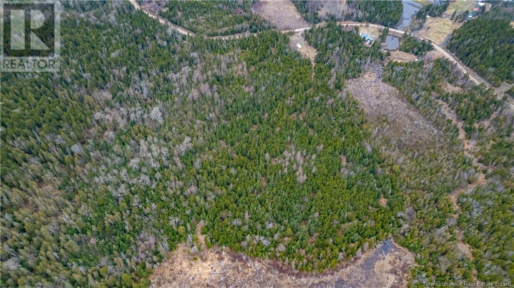 0 Lobster Pound Road, Hersonville, New Brunswick E5V 1G9 - Photo 23 - NB116059