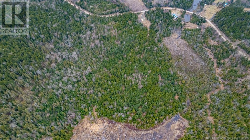 0 Lobster Pound Road, Hersonville, New Brunswick E5V 1G9 - Photo 24 - NB116059