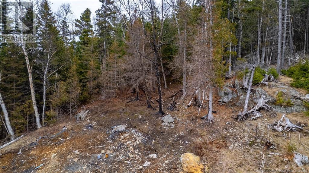 97 Lambert, Lamberts Cove, New Brunswick  E0H 1W0 - Photo 13 - NB116085