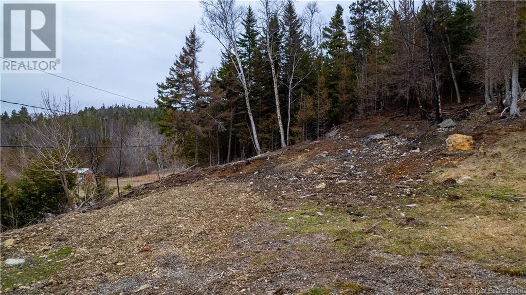 97 Lambert, Lamberts Cove, New Brunswick  E0H 1W0 - Photo 24 - NB116085