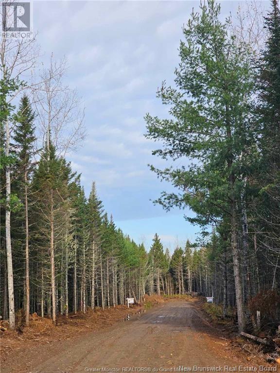 Lot 23-15 de la paix, Sainte-Marie-De-Kent, New Brunswick