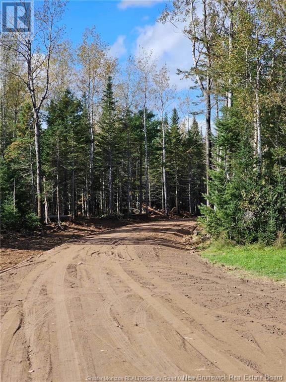 Lot 23-15 De La Paix, Sainte-Marie-De-Kent, New Brunswick E4S 2L8 - Photo 11 - NB116053