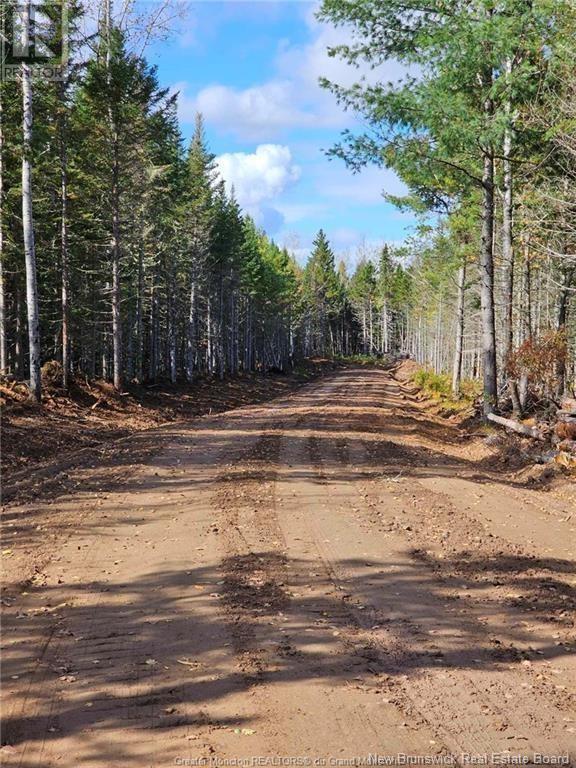Lot 23-15 De La Paix, Sainte-Marie-De-Kent, New Brunswick E4S 2L8 - Photo 12 - NB116053