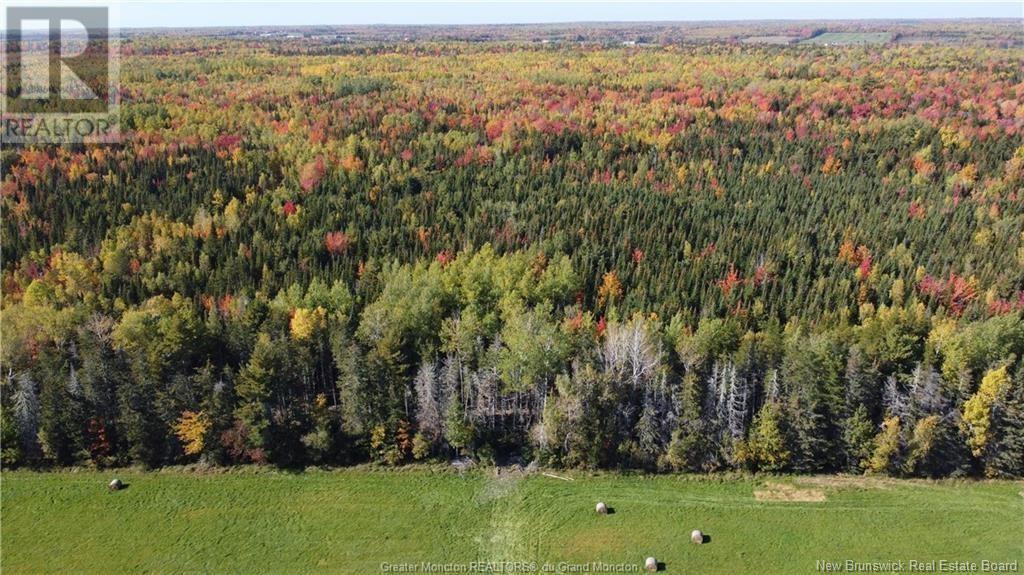 Lot 23-15 De La Paix, Sainte-Marie-De-Kent, New Brunswick E4S 2L8 - Photo 3 - NB116053