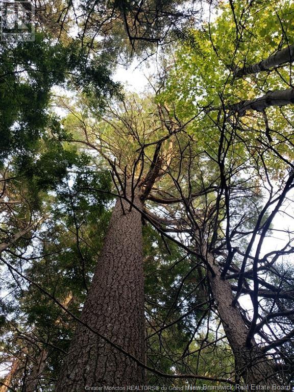 Lot 23-15 De La Paix, Sainte-Marie-De-Kent, New Brunswick E4S 2L8 - Photo 6 - NB116053