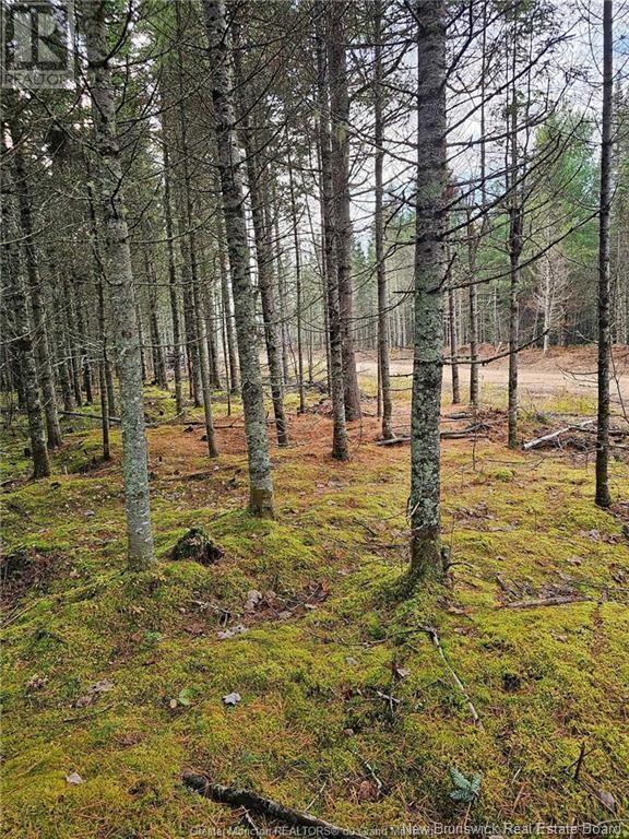 Lot 23-15 De La Paix, Sainte-Marie-De-Kent, New Brunswick E4S 2L8 - Photo 8 - NB116053