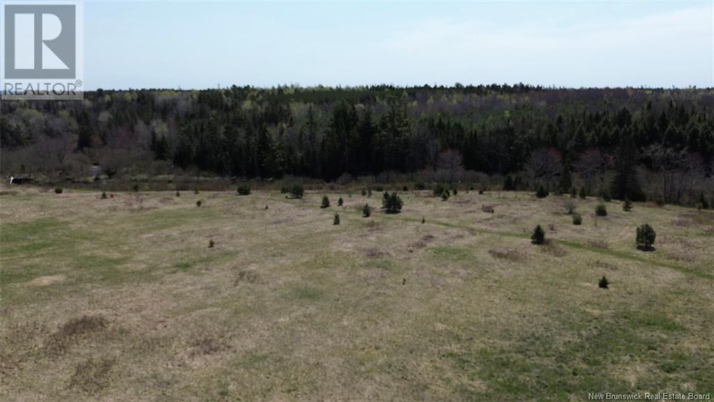 Na Route 10, Salmon Creek, New Brunswick  E4A 1E4 - Photo 10 - NB114901