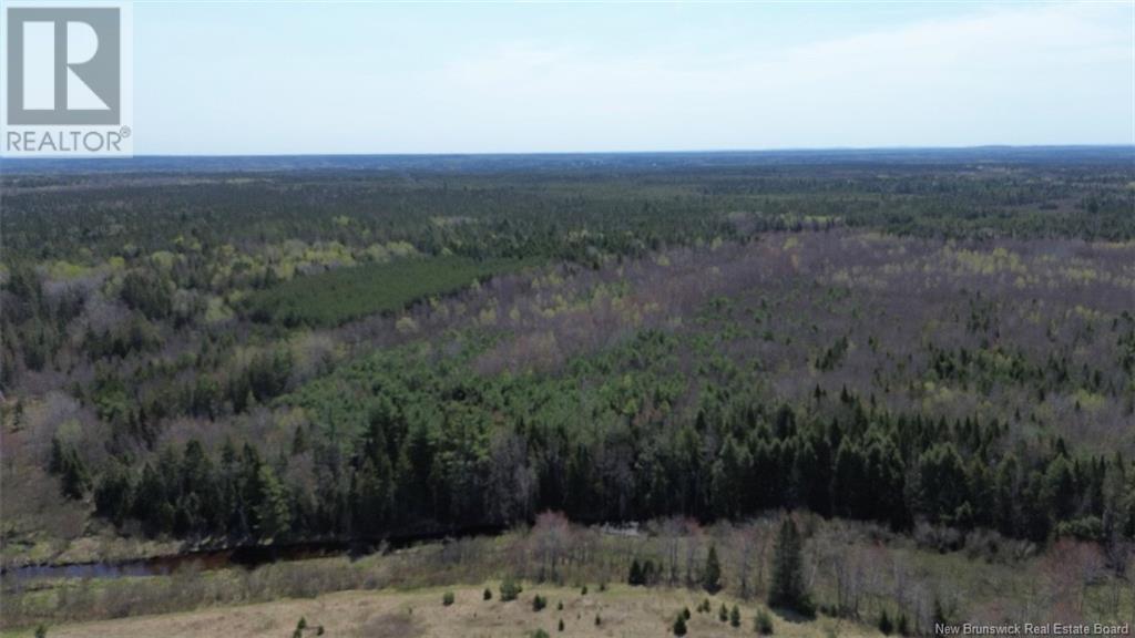 Na Route 10, Salmon Creek, New Brunswick  E4A 1E4 - Photo 11 - NB114901