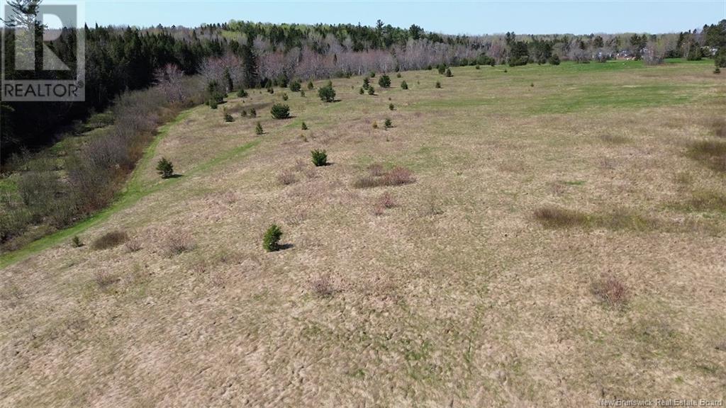 Na Route 10, Salmon Creek, New Brunswick  E4A 1E4 - Photo 12 - NB114901