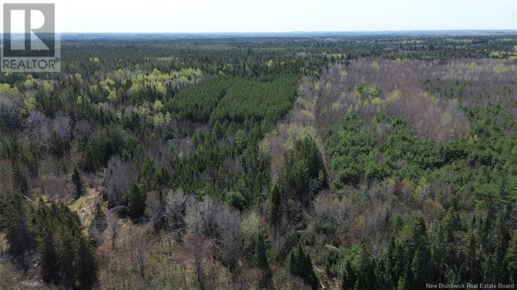 Na Route 10, Salmon Creek, New Brunswick  E4A 1E4 - Photo 13 - NB114901