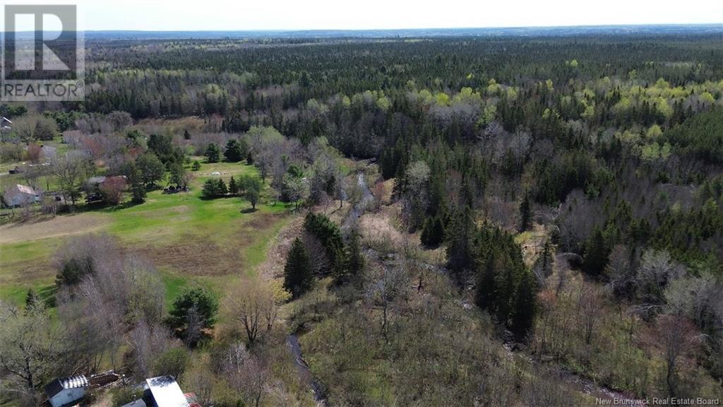 Na Route 10, Salmon Creek, New Brunswick  E4A 1E4 - Photo 14 - NB114901