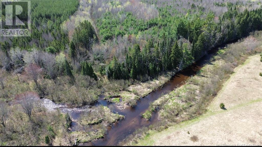 Na Route 10, Salmon Creek, New Brunswick  E4A 1E4 - Photo 16 - NB114901