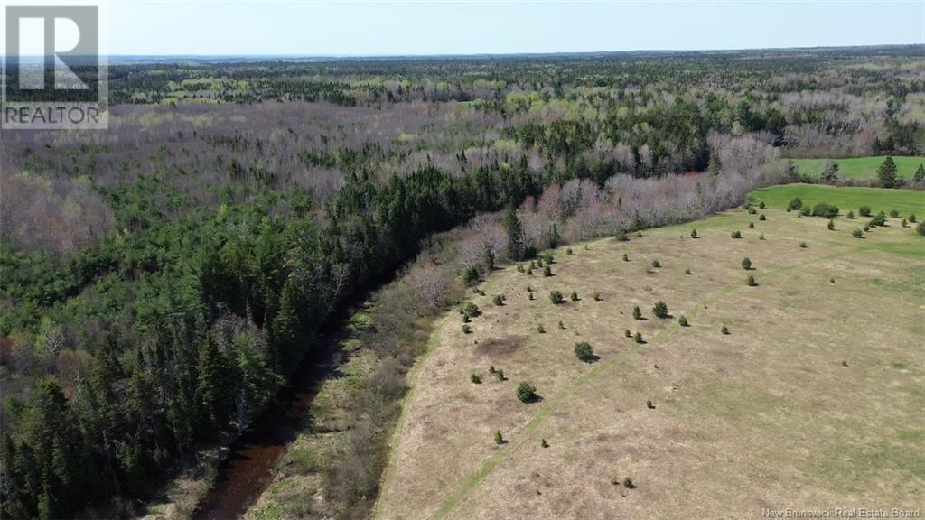 Na Route 10, Salmon Creek, New Brunswick  E4A 1E4 - Photo 18 - NB114901