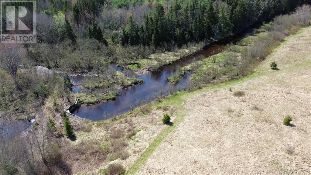 Na Route 10, Salmon Creek, New Brunswick  E4A 1E4 - Photo 19 - NB114901