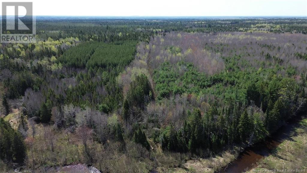Na Route 10, Salmon Creek, New Brunswick  E4A 1E4 - Photo 2 - NB114901