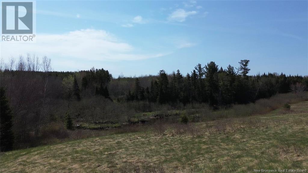 Na Route 10, Salmon Creek, New Brunswick  E4A 1E4 - Photo 20 - NB114901
