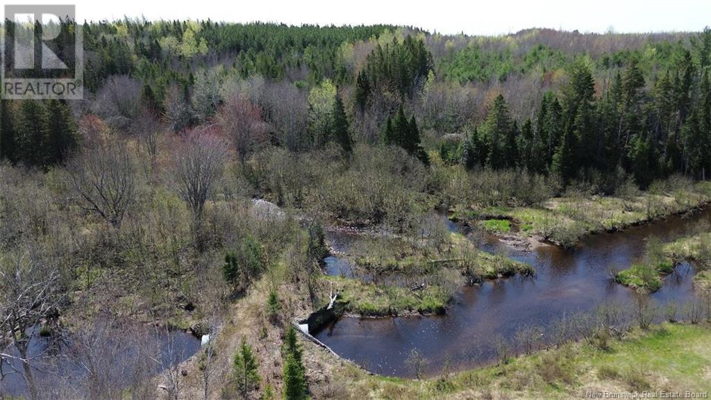 Na Route 10, Salmon Creek, New Brunswick  E4A 1E4 - Photo 3 - NB114901