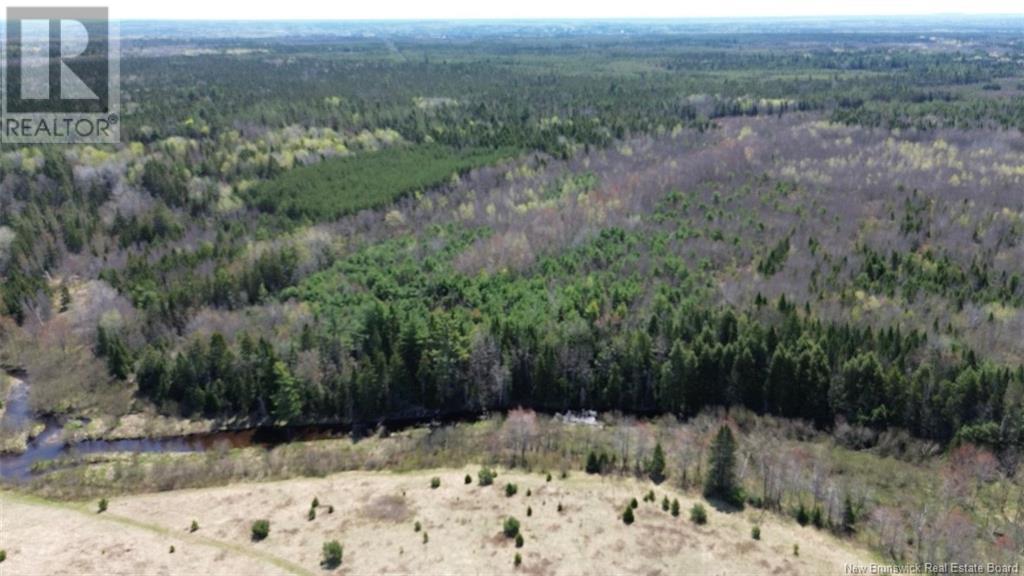 Na Route 10, Salmon Creek, New Brunswick  E4A 1E4 - Photo 4 - NB114901