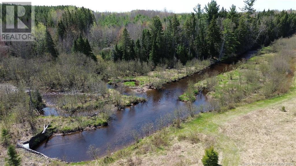 Na Route 10, Salmon Creek, New Brunswick  E4A 1E4 - Photo 7 - NB114901