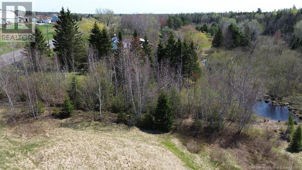 Na Route 10, Salmon Creek, New Brunswick  E4A 1E4 - Photo 8 - NB114901