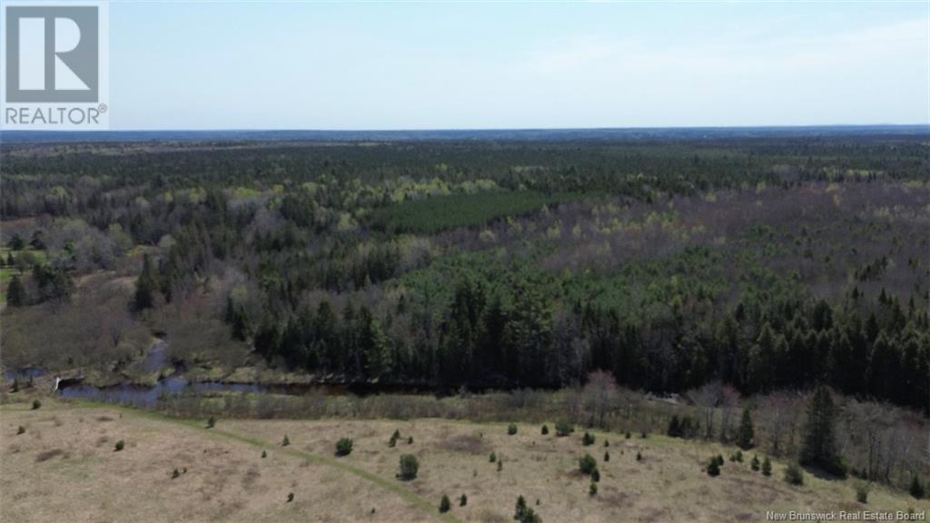 Na Route 10, Salmon Creek, New Brunswick  E4A 1E4 - Photo 9 - NB114901