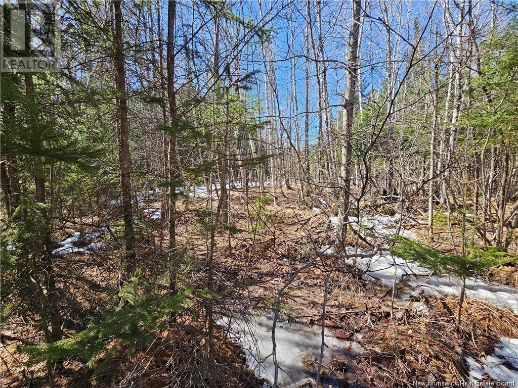 Route 385, Plaster Rock, New Brunswick  E7G 3H8 - Photo 3 - NB116223