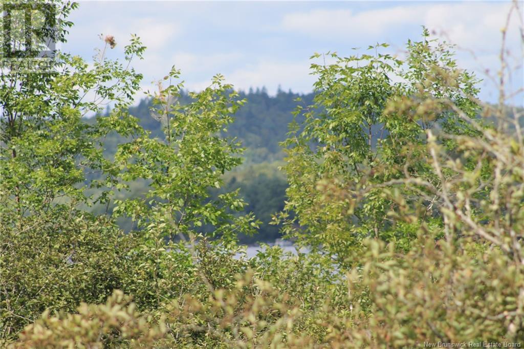 Lot Route 845, Kingston, New Brunswick E5N 1E7 - Photo 16 - NB116346