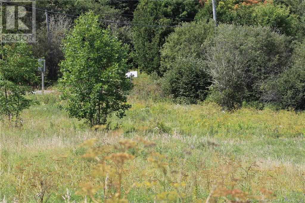 Lot Route 845, Kingston, New Brunswick E5N 1E7 - Photo 17 - NB116346